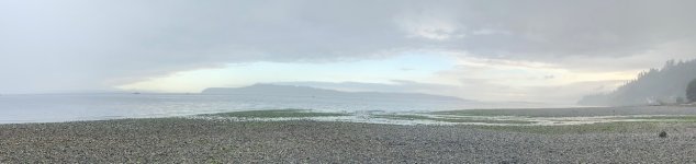 IMG_5605.jpeg IMG_5605.jpeg