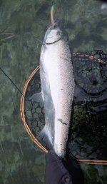 IMG_3441.jpeg