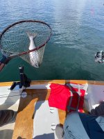 IMG_3734.jpeg