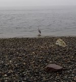 IMG_3437.jpeg
