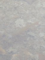 PXL_20250807_034334708.jpg PXL_20250807_034334708.jpg