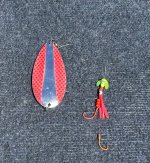 IMG_7063.jpeg IMG_7063.jpeg