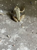 IMG_4623.jpeg