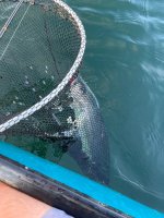 IMG_4653.jpeg