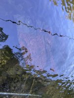 IMG_4857.jpeg