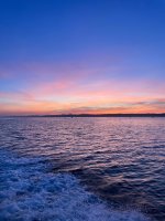 IMG_3799.jpeg