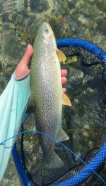 IMG_5068.jpeg