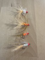 IMG_5098.jpeg