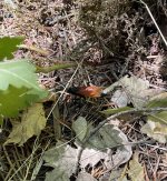 IMG_4861.jpeg