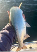 IMG_1390.jpeg
