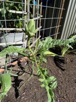 IMG_0167.jpeg