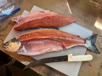 IMG_4679.jpeg