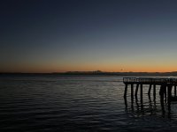 IMG_3491.jpeg