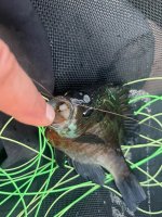 IMG_6034.jpeg