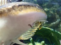 IMG_3509.jpeg