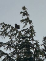 IMG_0878.jpeg