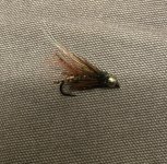IMG_4882.jpeg IMG_4882.jpeg