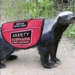 IMG_7698.jpeg