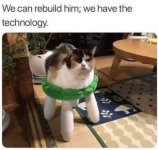IMG_7696.jpeg