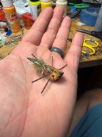 IMG_0738.jpeg