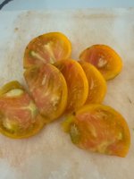 IMG_6236.jpeg