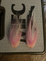 IMG_4879.jpeg