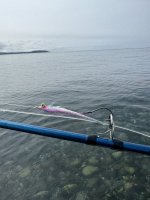 IMG_8311.jpeg IMG_8311.jpeg
