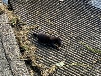 IMG_9462.jpeg