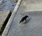 IMG_9467.jpeg