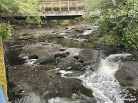 IMG_8853.jpeg IMG_8853.jpeg