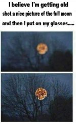 IMG_3536.jpeg
