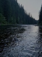 IMG_3345.jpeg