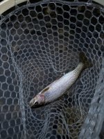IMG_3336.jpeg IMG_3336.jpeg