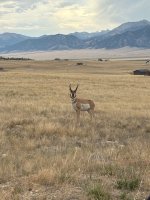 IMG_4313.jpg