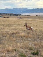 IMG_4315.jpg