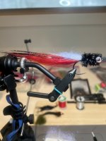 IMG_6729.jpeg