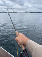 IMG_4714.jpeg