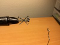 IMG_0168.jpeg
