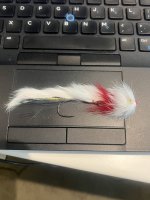 IMG_6740.jpeg