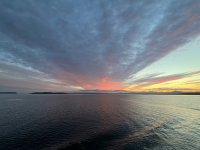 IMG_3576.jpeg