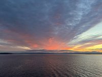 IMG_3574.jpeg