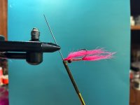 IMG_6425.jpeg