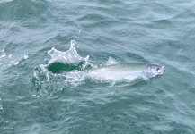 IMG_2751.jpeg