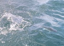 IMG_2748.jpeg