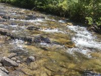 C02CreekP7290139.jpg C02CreekP7290139.jpg