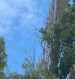 IMG_3560.jpeg