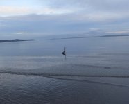 IMG_3596.jpeg
