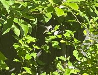 IMG_3587.jpeg