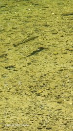 20250820_134412.jpg
