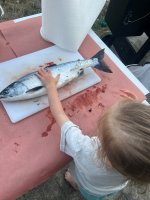 2025-08-20 19.57.11.jpg 2025-08-20 19.57.11.jpg